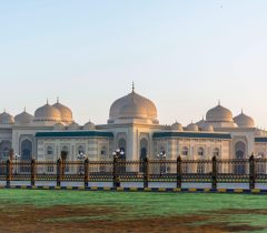 pexels-beingsanshots-8125870