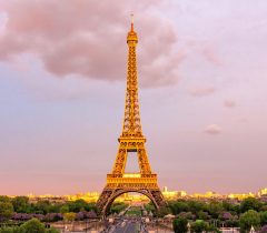 pexels-eugene-dorosh-230277-739407